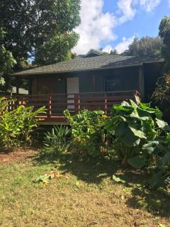 Backpackers Vacation Inn and Plantation Village - Pupukea - 0