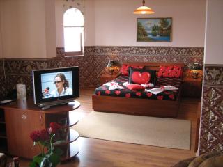 Family Hotel Emaly 1 - Bankya - 7