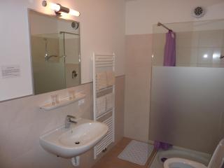 Appartement Windisch - 1
