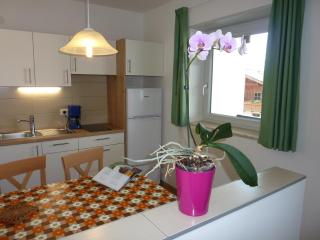 Appartement Windisch - 2