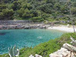 Apartment Simona - Mali Lošinj - 2