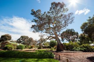 Southern Grampians Cottages - Dunkeld - 3