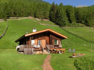 Ferienhütte Premstlahof - Martello - 0