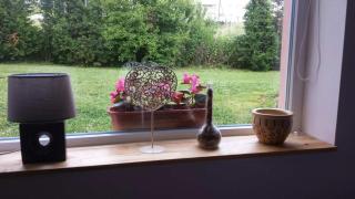 Green Garden - Šip - 5