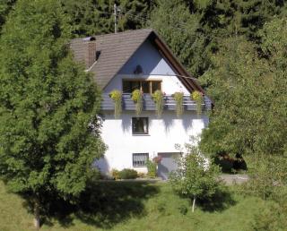 Haus Wolter - Gengenbach - 0