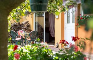 Gîtes de Charme Chez Christine - Ottrott - 0