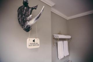 The Curious Pig in the Parlour - 1