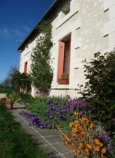 La maison des fleurs - Saint-Senoch - 8
