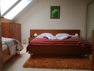 Luxury Apartment - 7