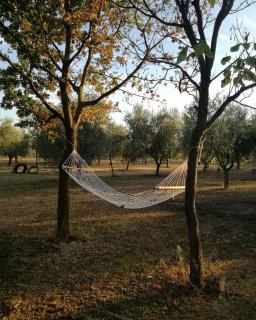 Axia Terme B&B, 4 min dal Centro Storico - PARK privato - Viterbo - 1