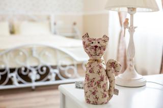 Lovely apartment in the city center - Lviv - 0