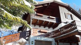 Haus Rathore - Altaussee - 8