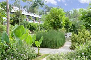 Purple Palms Resort & Spa - Kushālnagar - 7