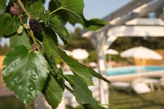 Sicily Country House & Beach - Catania - 3