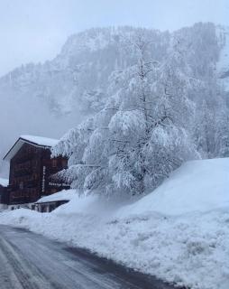 B&B Monte Giove Formazza - Formazza - 5