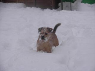 La Fleur et Le Soleil (F&S) - 3