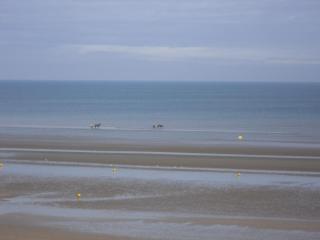 Cabourg Face A La Mer - Cabourg - 3