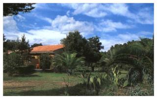 Domaine de l'Avidanella - 8
