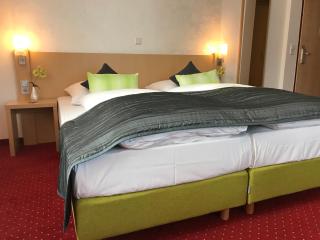 Waldgasthof St.Wolfgang - Sinning - 5