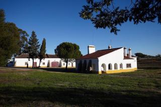 Cork Hills Farmhouse - Monte da Pedra - 1