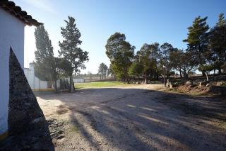 Cork Hills Farmhouse - Monte da Pedra - 2