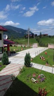 Garofita Pietrei Craiului - Peştera - 8