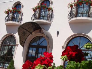 Casa Hora - Suceava - 1