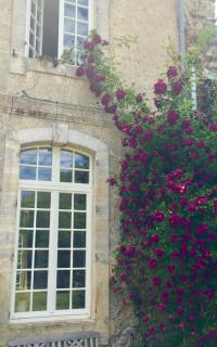 L'Orangerie du Grand Jardin - Condé-sur-Seulles - 6