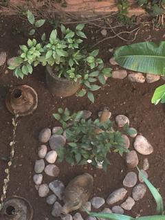 Appartement Andalou - 3