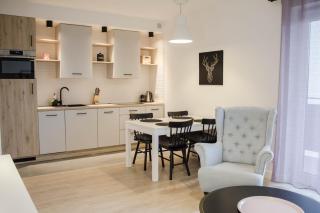 Apartamenty Rynek w samym centrum Ustronia - Dream Apart - Ustroń - 7