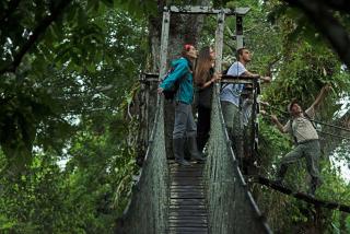 Amazon Field Station byInkaterra - Puerto Maldonado - 4