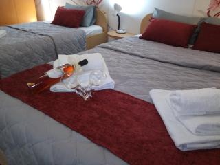 The Most Central Skopje Apartment - 0