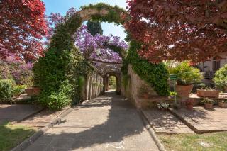 Casa Rosa - Firenze - 1