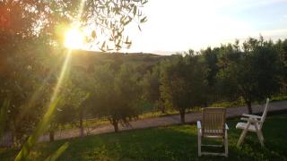 Paomà trentova - Agropoli - 2