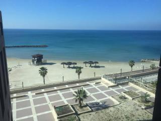 Apartment on Haifa - 2