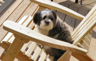 Green Castle cabin on the Shenandoah River - 5
