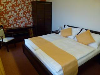 Hotel Slunný Dvůr - Jeseník - 5