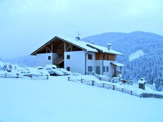 Apartments Serghela - San Cassiano - 7