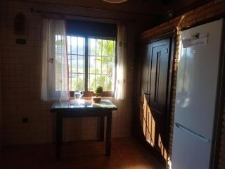 La chumbera - 7