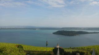 Ferien auf dem Weingut - Ligerz - 2