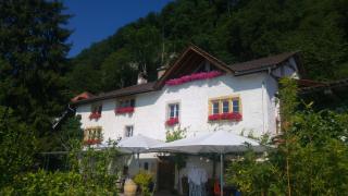 Ferien auf dem Weingut - Ligerz - 9
