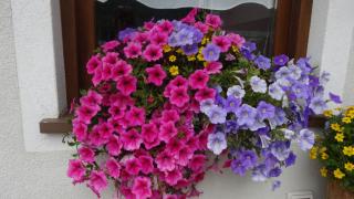 Garni Gimea - Livigno - 2