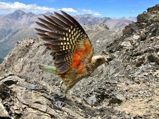 Arthur's Pass Motel & Lodge - 2