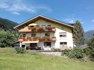 Apart Alpensonne - Zellberg - 0