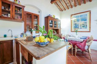 Casa Violet - Goelba - Portoferraio - 1