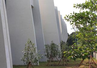 Comma&Spa Resort - Seogwipo - 9