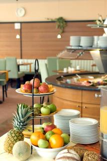 Hansa Apart-Hotel Regensburg - Ratisbona - 8