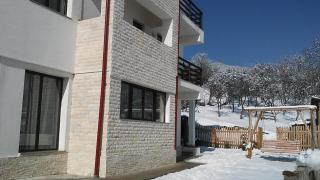 Pensiunea Drumul Voievozilor - Arefu - 5