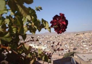 Dar Al Safadi - Fez - 9