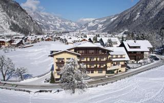 Hotel Waldheim Garni - Mayrhofen - 5